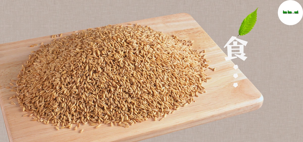 Chia sẻ bí quyết ăn gạo lứt giảm cân cực kỳ hiệu quả 2022